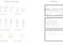 reate 2d character animation for cartoons and youtube